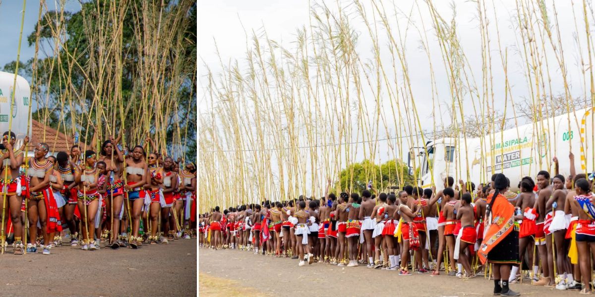 mayor mdaka pays respect to his majesty the king at emachobeni 1